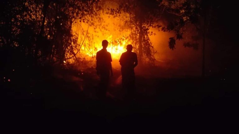 Hektare Lahan Di Palangka Raya Terbakar Zona Kota